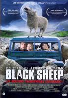Black Sheep : les moutons transgéniques débarquent !